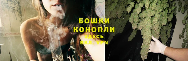 мескалин Богородицк