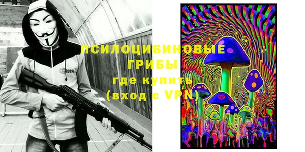 мескалин Богородицк