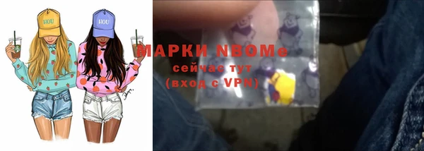 сатива Богородск