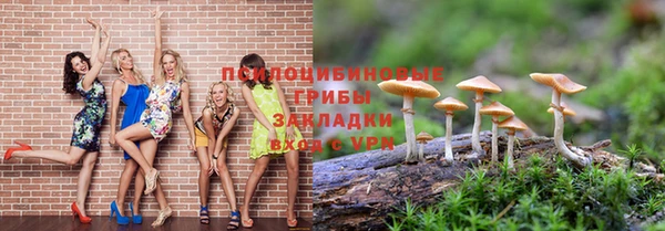 мескалин Богородицк