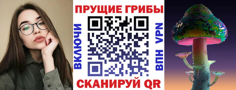 закладки  Кологрив  Псилоцибиновые грибы GOLDEN TEACHER 